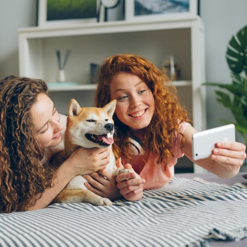 All American Pet Photo Day