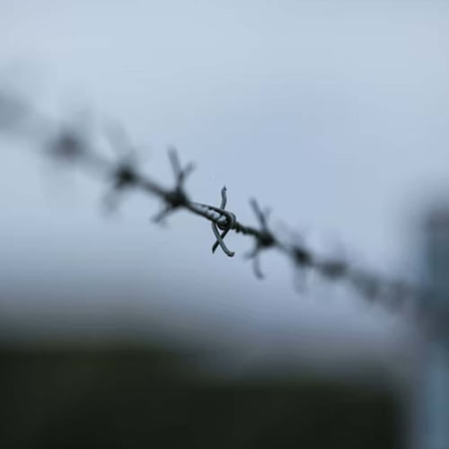 Amnesty International Day