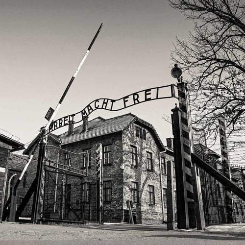 Auschwitz Liberation Day