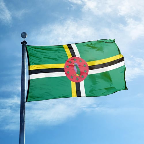 Dominican Independence Day