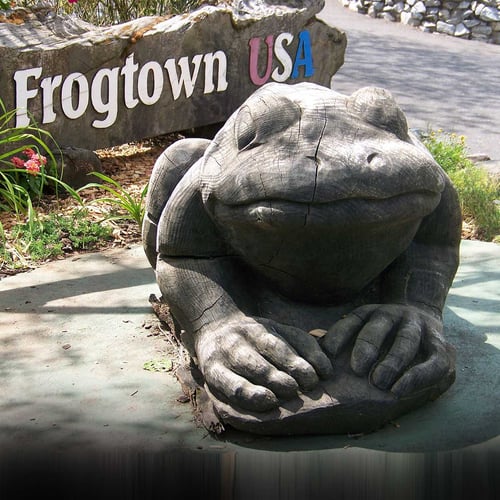 Frog Jumping Jubilee Day