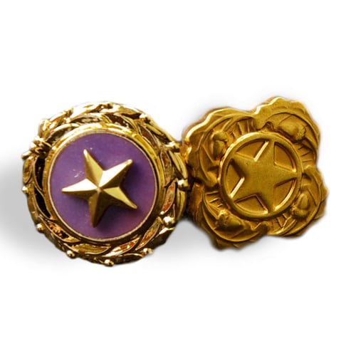 Gold Star Spouses Day