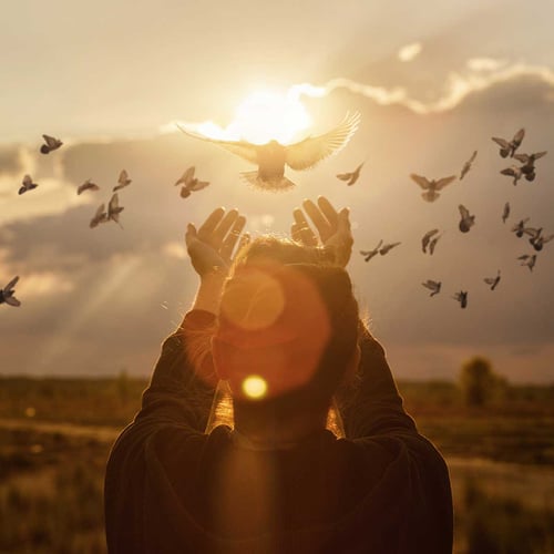 International Day for Preventing the Exploitation of the Environment in War and Armed Conflict