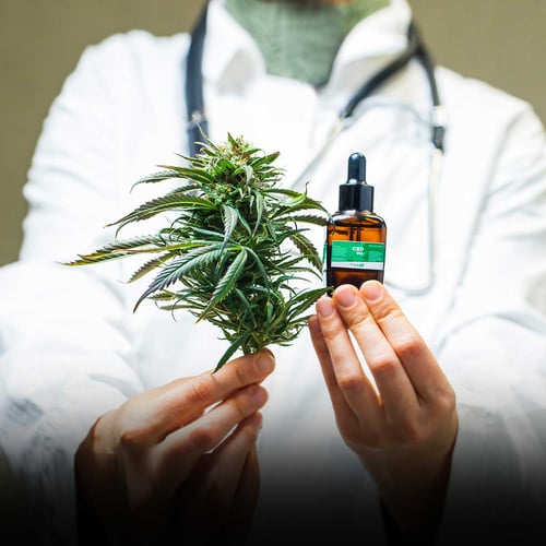 Marijuana Awareness Month