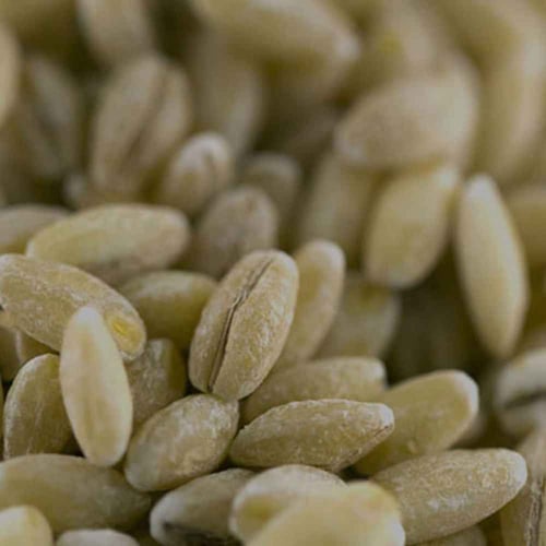 ​National Celiac Disease Awareness Day