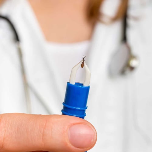 National Lyme Disease Awareness Month