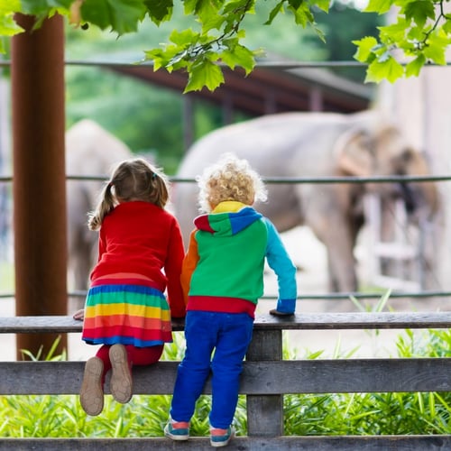 National Zoo and Aquarium Month