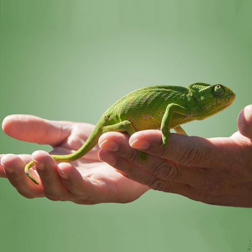 Tenderness Toward Existence Day