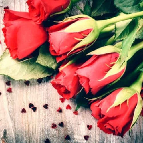Valentine’s Day