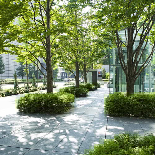 World Landscape Architecture Month